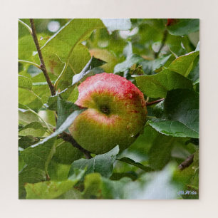 apple tree difficult green forest full season jigsaw puzzle