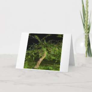 Apple Tree: Digitally Enhanced Edited Twisted Tree Card