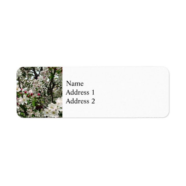 Apple Tree In Bloom (Front)