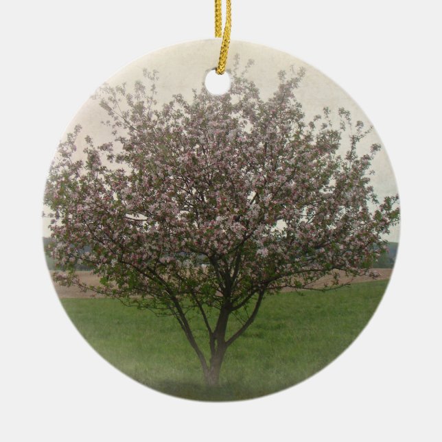 Apple Tree in Bloom Ceramic Tree Decoration (Front)