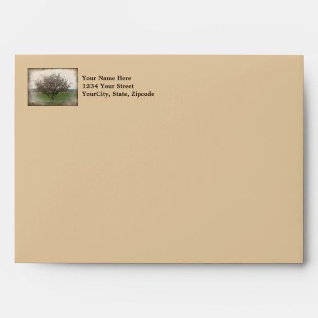 Apple Tree in Bloom Envelopes (Front)