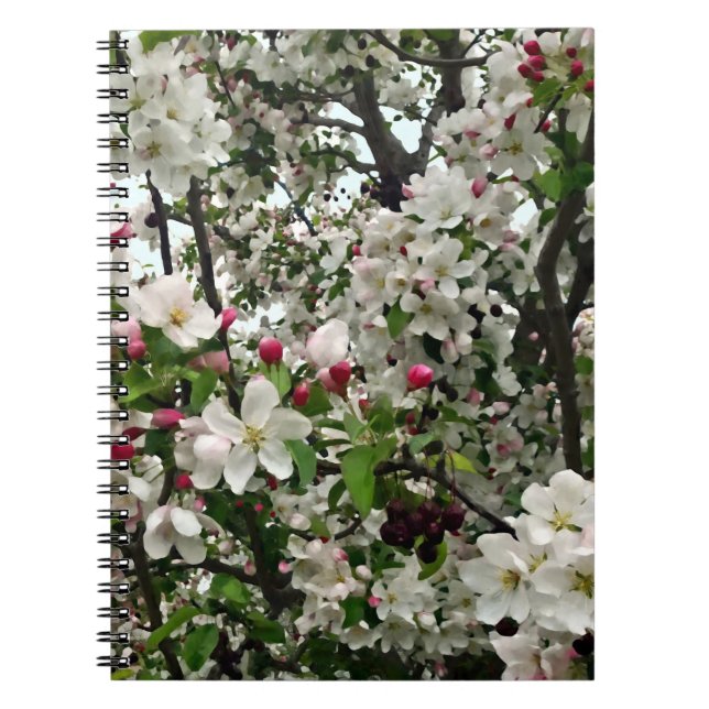 Apple Tree In Bloom Notebook (Front)