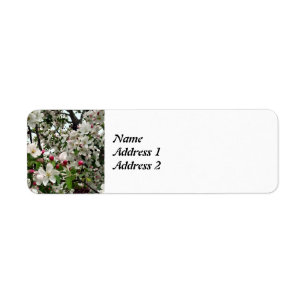 Apple Tree In Bloom Save the Date