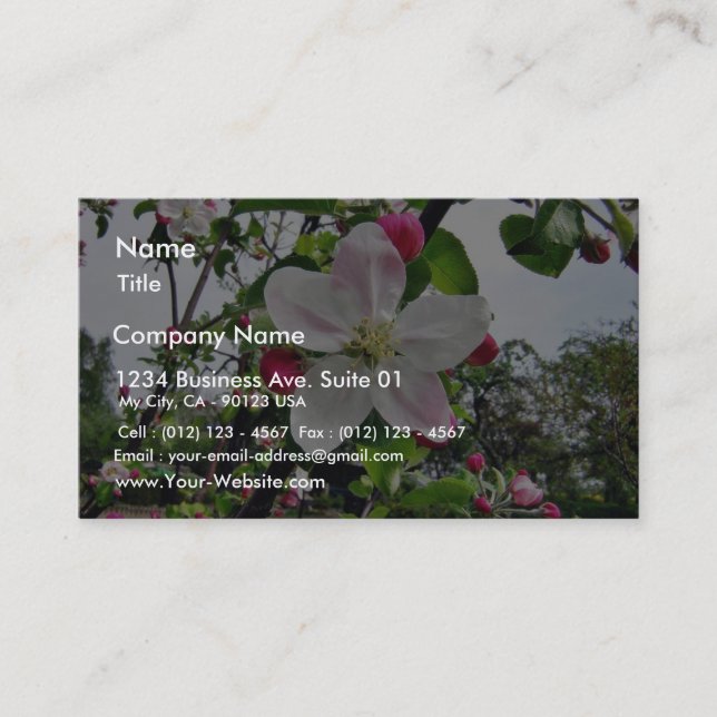 Apple Tree In Blossom Business Card (Front)