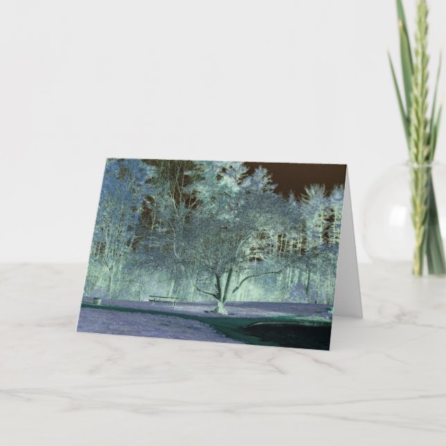 Apple Tree in Spring Card (Front)