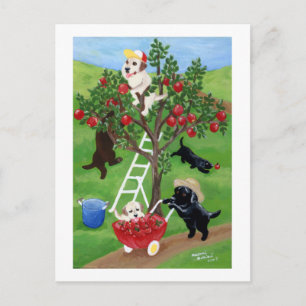 Apple Tree Labradors Postcard
