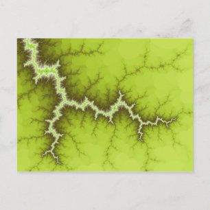 Apple Tree Roots Postcard