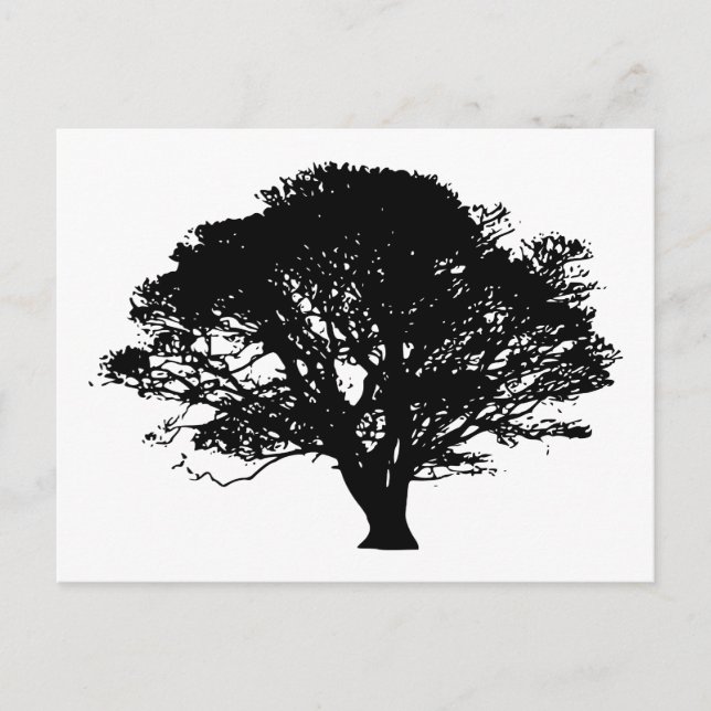Apple Tree Silhouette Postcard (Front)
