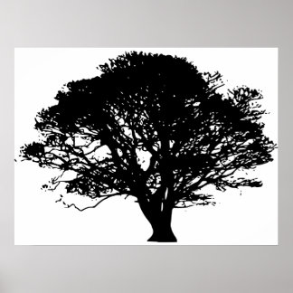 Apple Tree Silhouette Poster