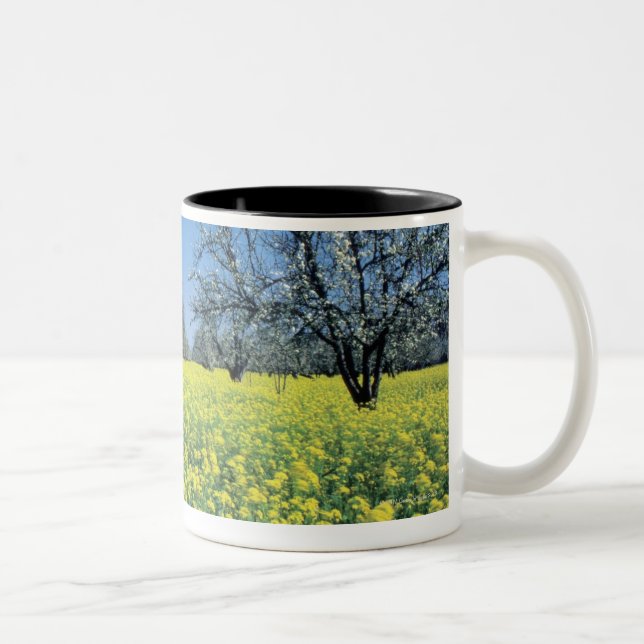 Apple trees in a mustard field, Napa Valley, Two-Tone Coffee Mug (Right)
