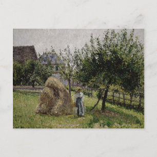 Apple Trees in Eragny Sunny Morning Postcard