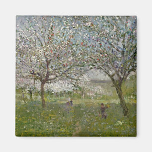 Apple Trees in Flower Magnet