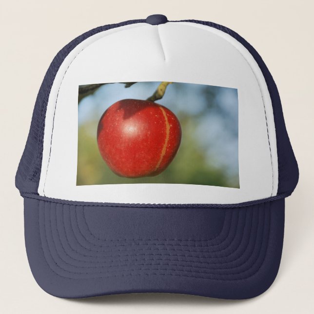 Apple truck hat (Front)