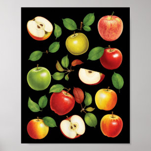 Apple Varieties Different Kinds Apple Picker Apple Poster