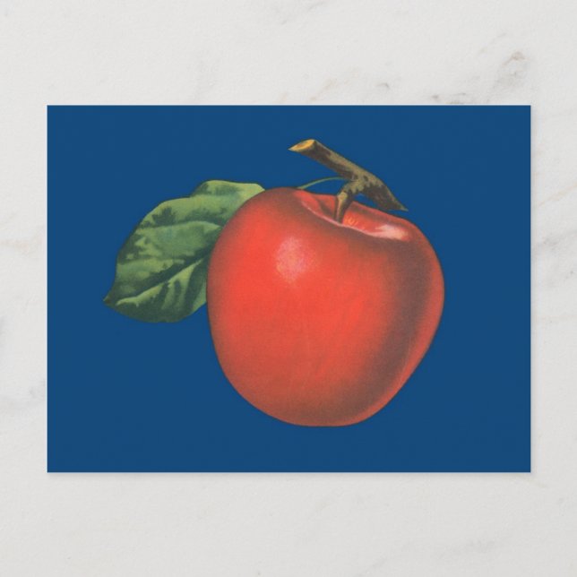 Apple vintage fruit illustration postcard (Front)