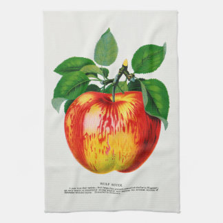 Apple Vintage Illustration Kitchen Towel