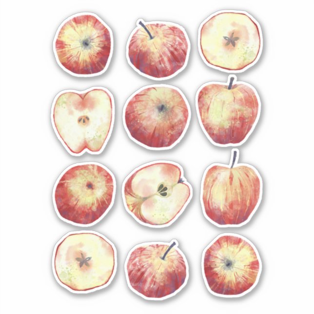 Apple Watercolor Fruit (Front)