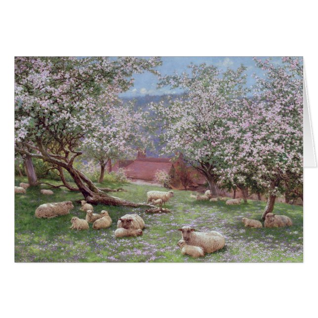 Appleblossom (Front Horizontal)