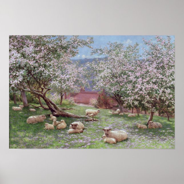 Appleblossom Poster (Front)