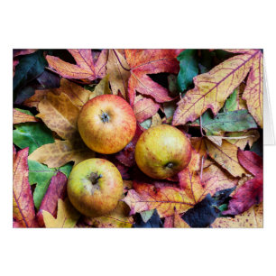 Apples and autumn leaves photo