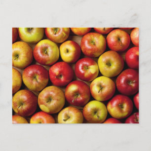 Apples Background Postcard