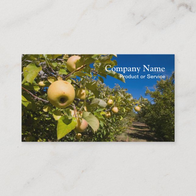 Apples business card (Front)