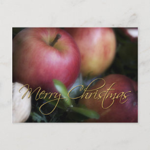 Apples • Christmas Postcard