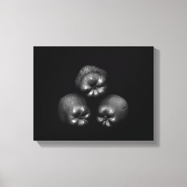 Apples - Fine Art Classic Elegant Fun Unique Canvas Print (Front)