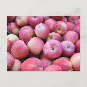Apples Fresh From The Orchard Postcard