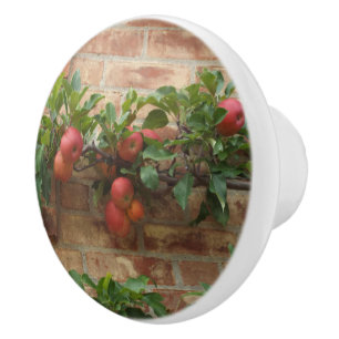APPLES GROWING ON BRICK WALL ESPALIER CERAMIC KNOB
