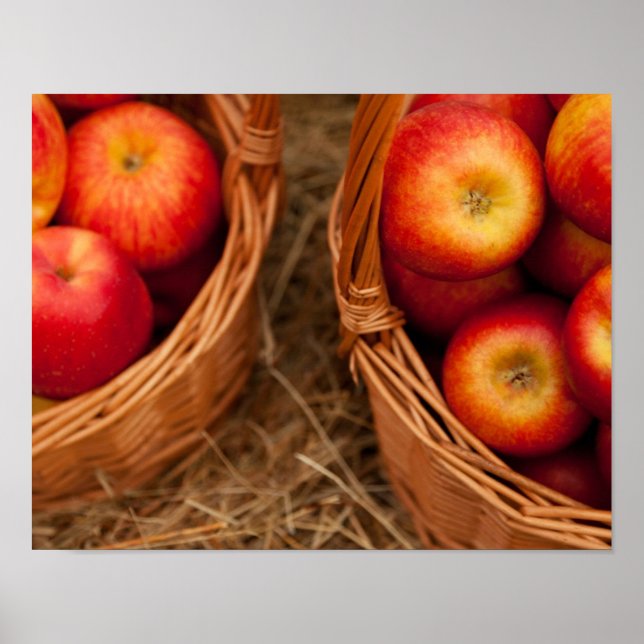 Apples In Baskets Poster (Front)
