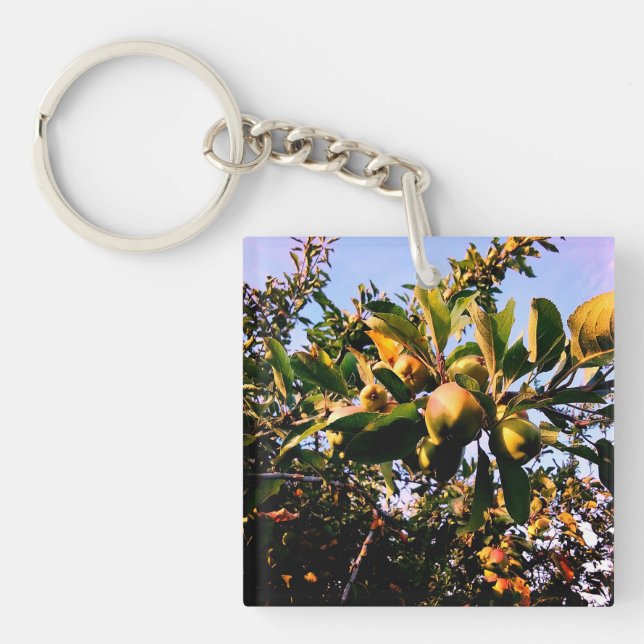 Apples Key Ring (Front)