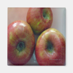 Apples Magnet