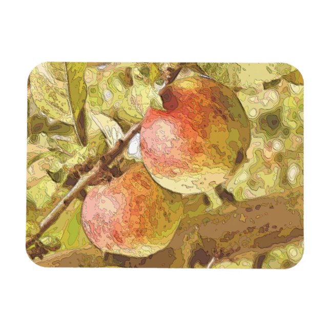 APPLES MAGNET (Horizontal)