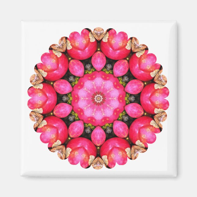 APPLES MAGNET (Front)