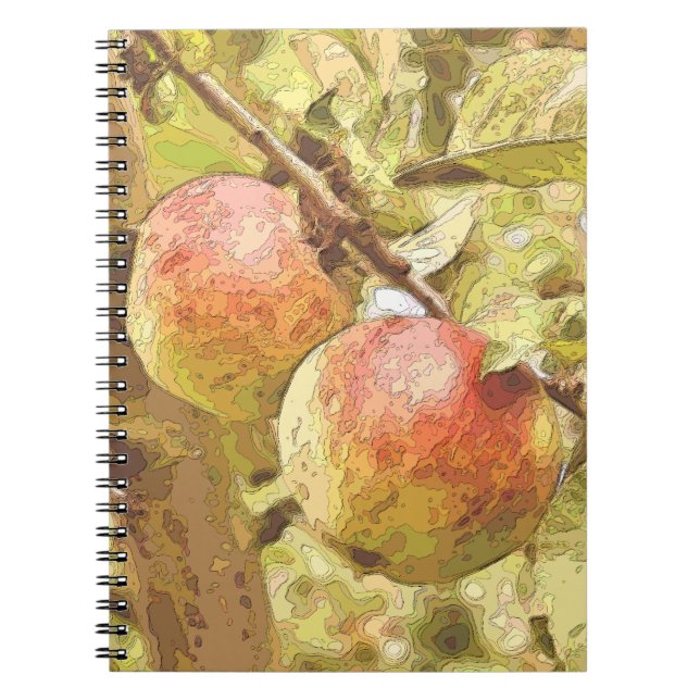 APPLES NOTEBOOK (Front)