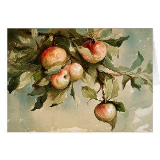 Apples on a Branch