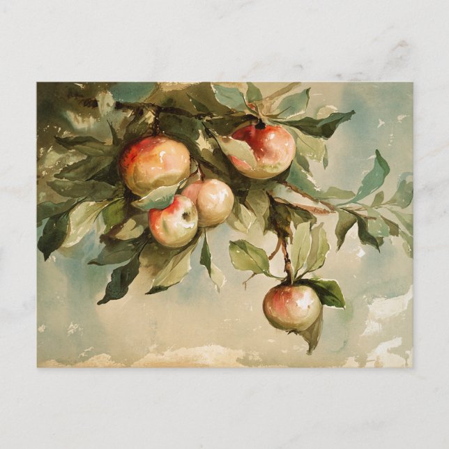 Apples on a Branch Postcard (Front)
