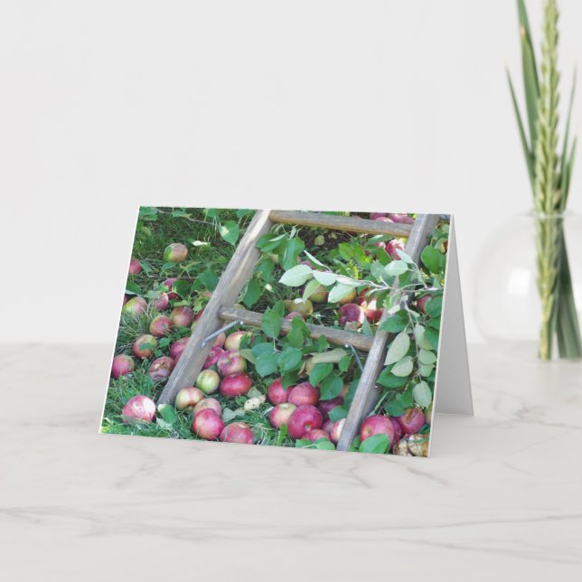 Apples on an Autumn Day Card (Front)