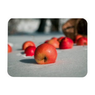 Apples on the snow magnet