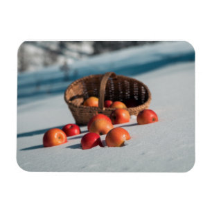 Apples on the snow magnet