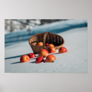 Apples on the snow poster