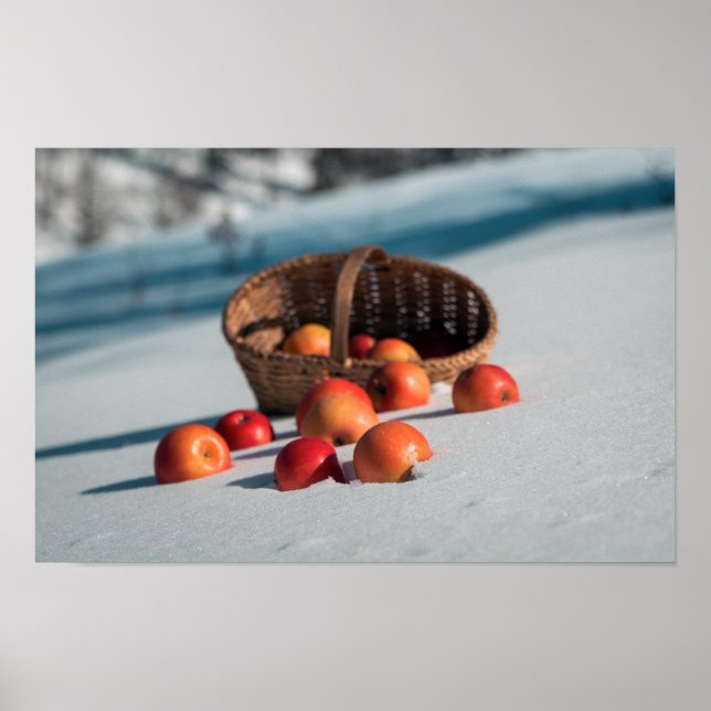 Apples on the snow poster (Front)