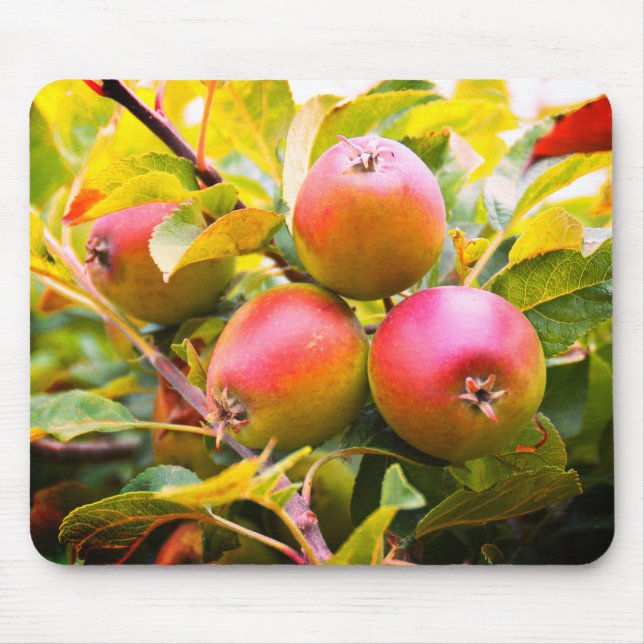 Apples on the tree mouse mat (Front)