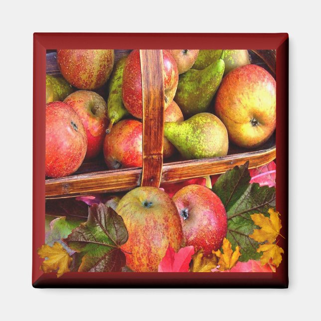 APPLES  & PEARS  ~ Magnet (Front)