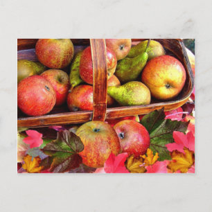APPLES & PEARS  ~ Postcard