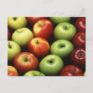 Apples Postcard