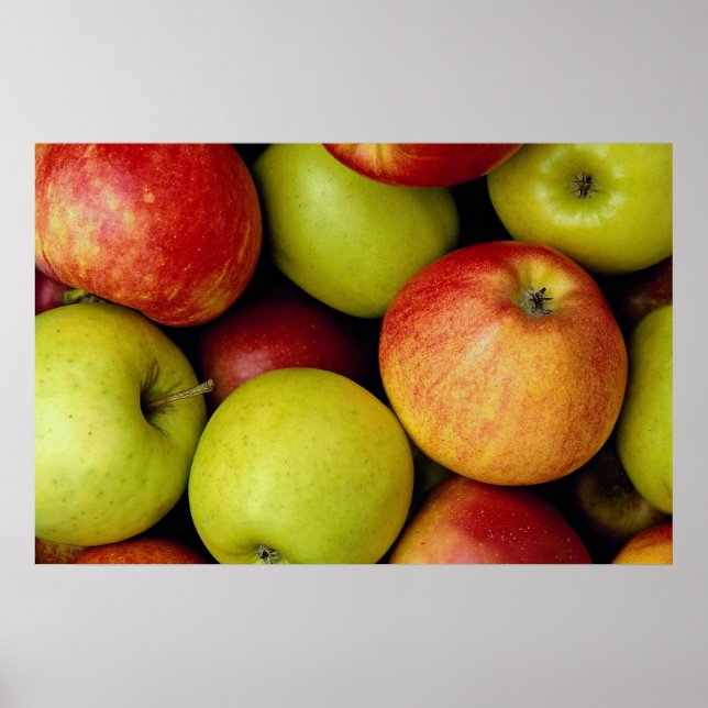 Apples Poster (Front)