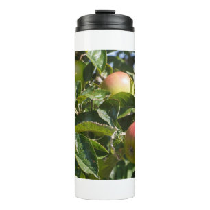 Apples ripening on an apple tree thermal tumbler