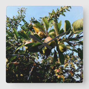 Apples Square Wall Clock